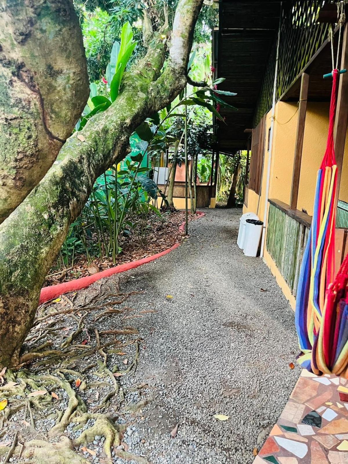 Puerto Viejo de TalamancaLa Casa De Rolando别墅 外观 照片