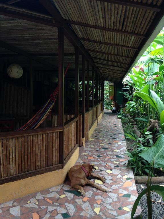 Puerto Viejo de TalamancaLa Casa De Rolando别墅 外观 照片