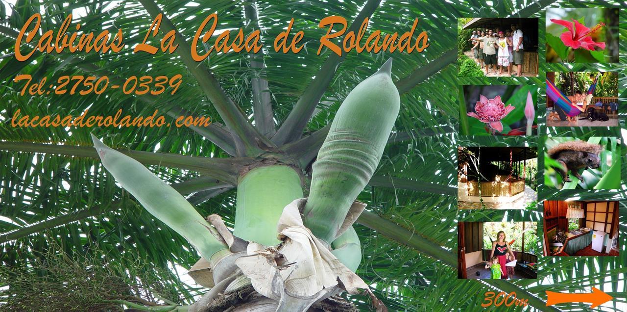 Puerto Viejo de TalamancaLa Casa De Rolando别墅 外观 照片
